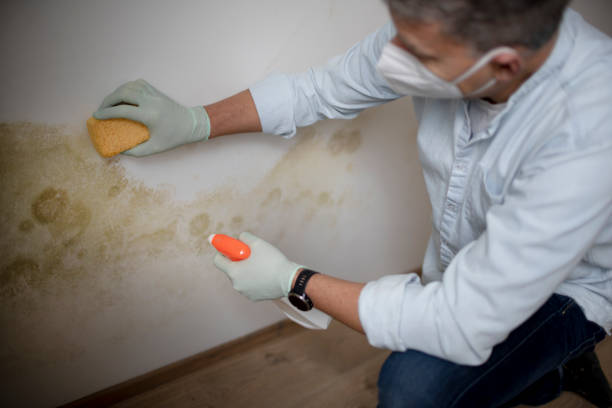 Best Crawl Space Mold Removal  in Manitowoc, WI