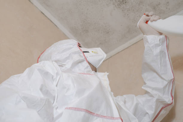 Best Mold Remediation  in Manitowoc, WI
