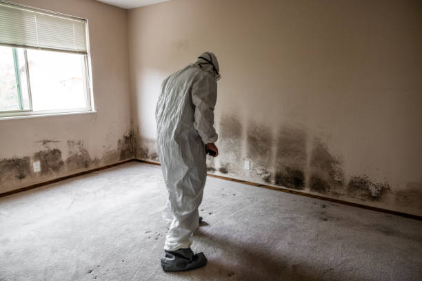 Best Mold Testing  in Manitowoc, WI